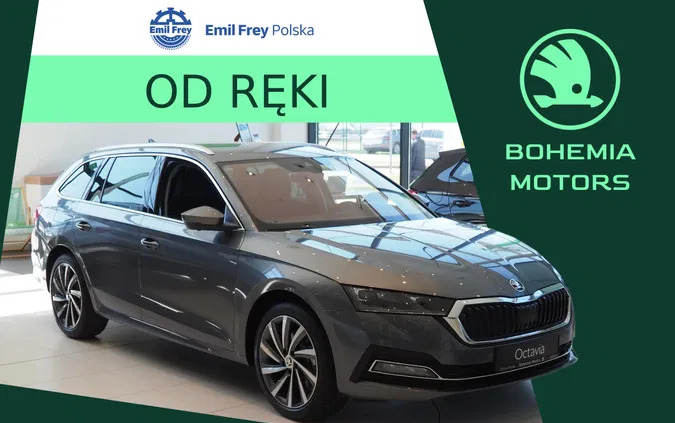 mazowieckie Skoda Octavia cena 209900 przebieg: 7, rok produkcji 2024 z Inowrocław